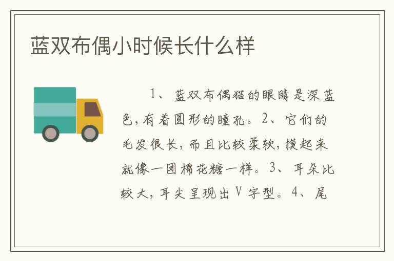蓝双布偶小时候长什么样