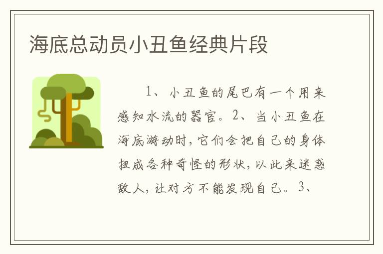 海底总动员小丑鱼经典片段