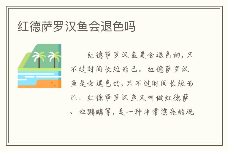 红德萨罗汉鱼会退色吗