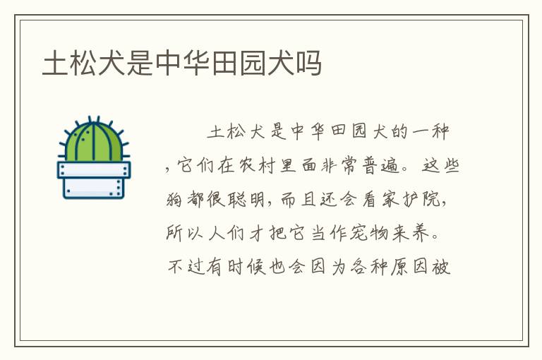 土松犬是中华田园犬吗