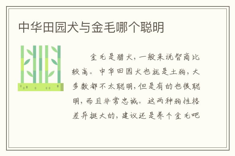 中华田园犬与金毛哪个聪明