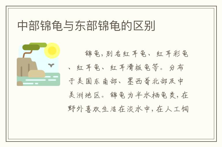 中部锦龟与东部锦龟的区别