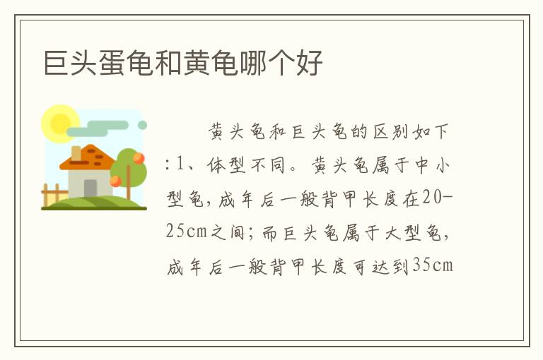 巨头蛋龟和黄龟哪个好