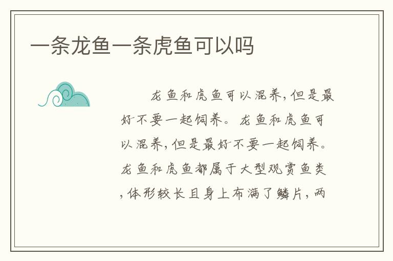 一条龙鱼一条虎鱼可以吗
