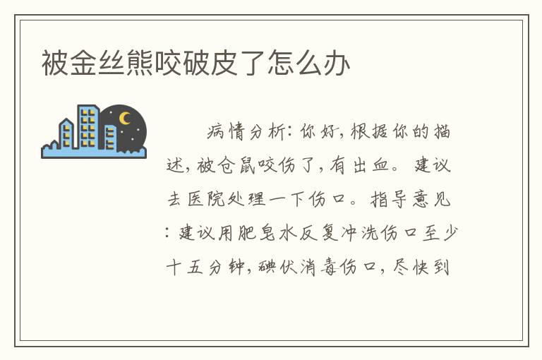 被金丝熊咬破皮了怎么办