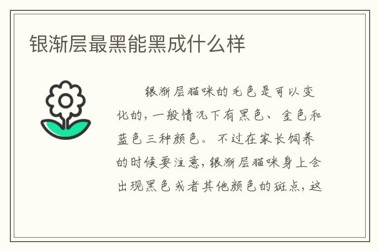 银渐层最黑能黑成什么样