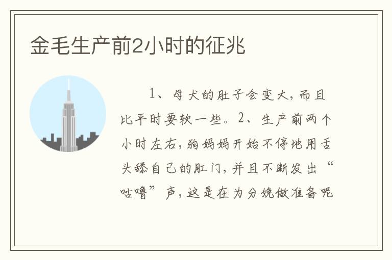 金毛生产前2小时的征兆