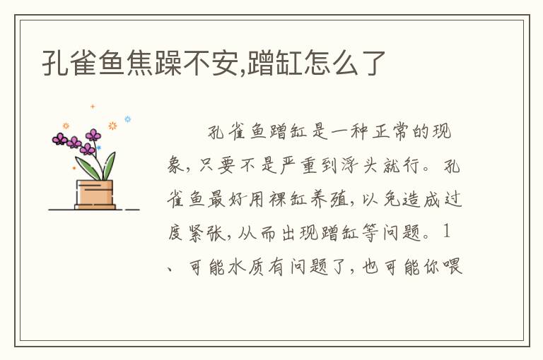 孔雀鱼焦躁不安,蹭缸怎么了