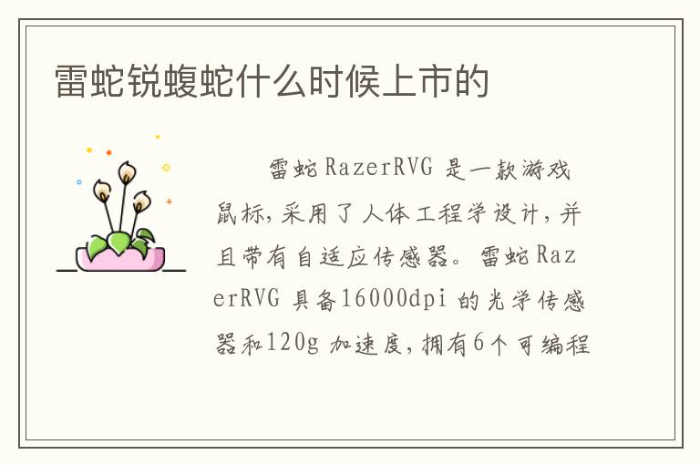 雷蛇锐蝮蛇什么时候上市的