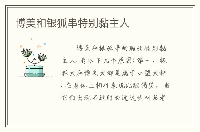 博美和银狐串特别黏主人