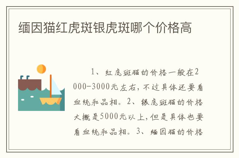 缅因猫红虎斑银虎斑哪个价格高