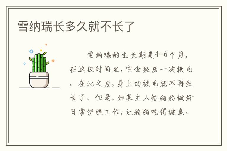 雪纳瑞长多久就不长了