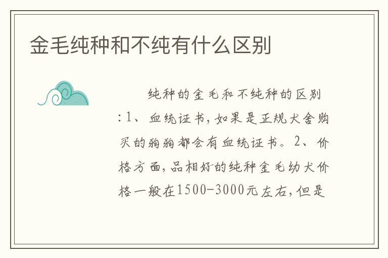 金毛纯种和不纯有什么区别