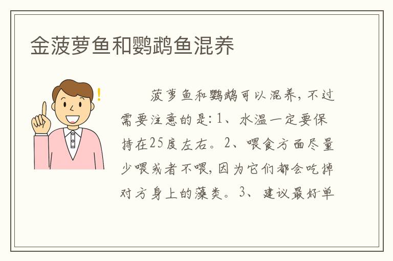 金菠萝鱼和鹦鹉鱼混养