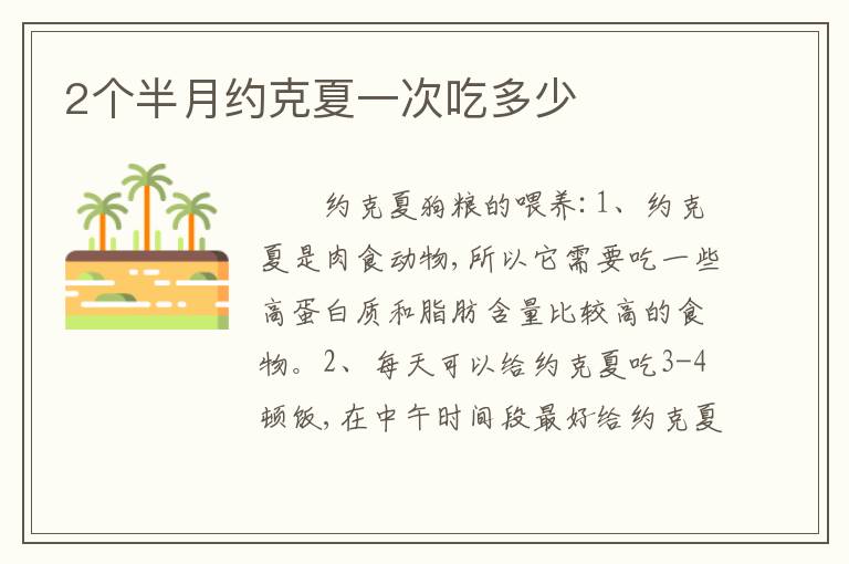 2个半月约克夏一次吃多少
