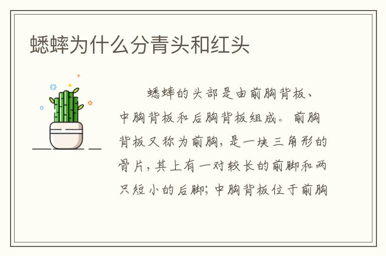 蟋蟀为什么分青头和红头